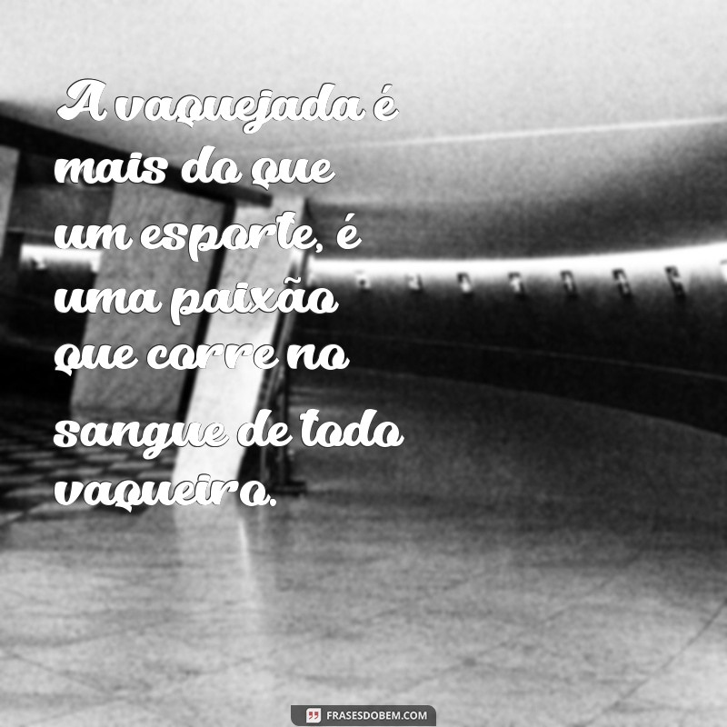 Descubra as melhores frases de vaquejada para se inspirar e compartilhar 