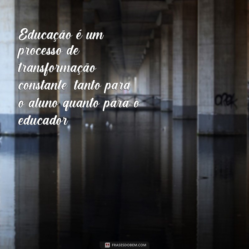 Conheça as melhores frases de Cortella sobre educação e inspire-se para transformar sua forma de ensinar 