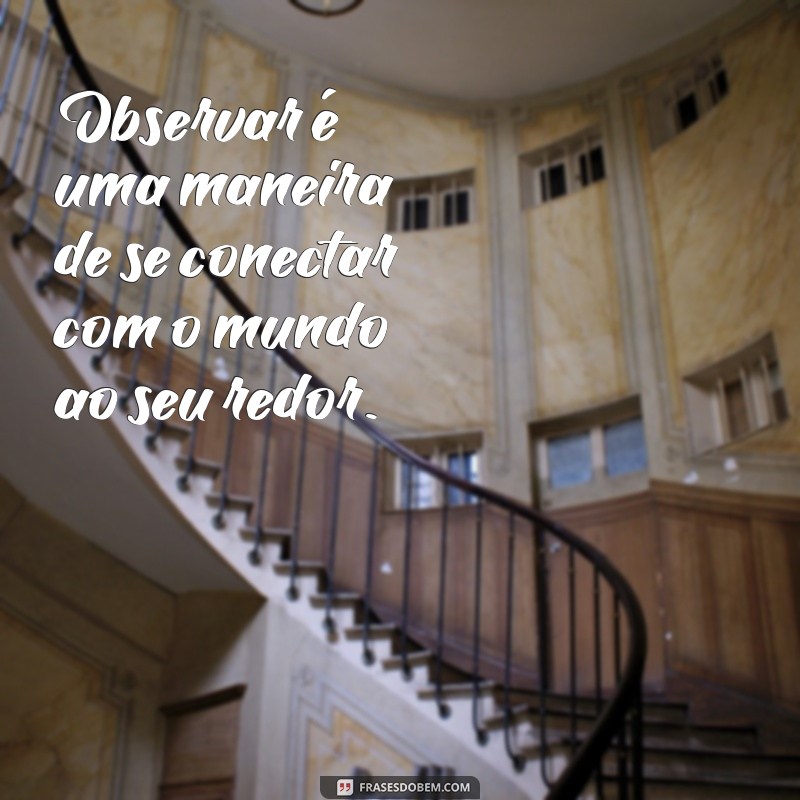 Descubra as melhores frases de observador para refletir e se inspirar 