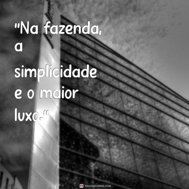 frases de fazenda para status 