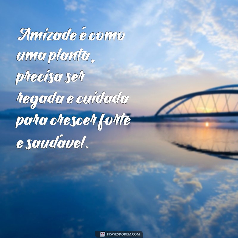 frases texto sobre amizade Amizade é como uma planta, precisa ser regada e cuidada para crescer forte e saudável.