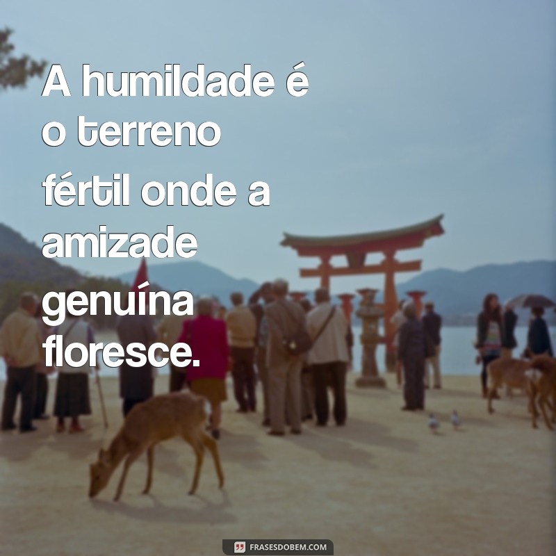 50 Frases Inspiradoras Sobre Humildade para Refletir e Compartilhar 