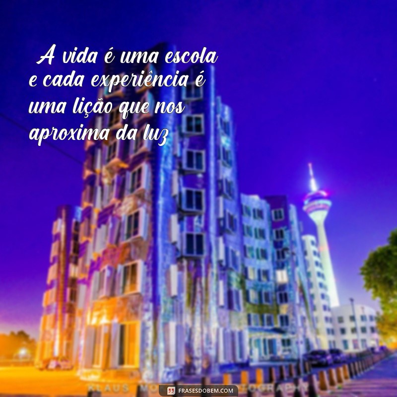 frases espirita A vida é uma grande escola, onde aprendemos importantes lições para evolução da alma.