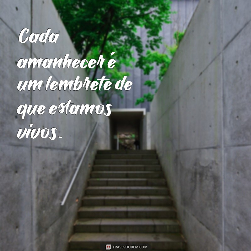 Frases Inspiradoras para Começar o Dia com Energia 