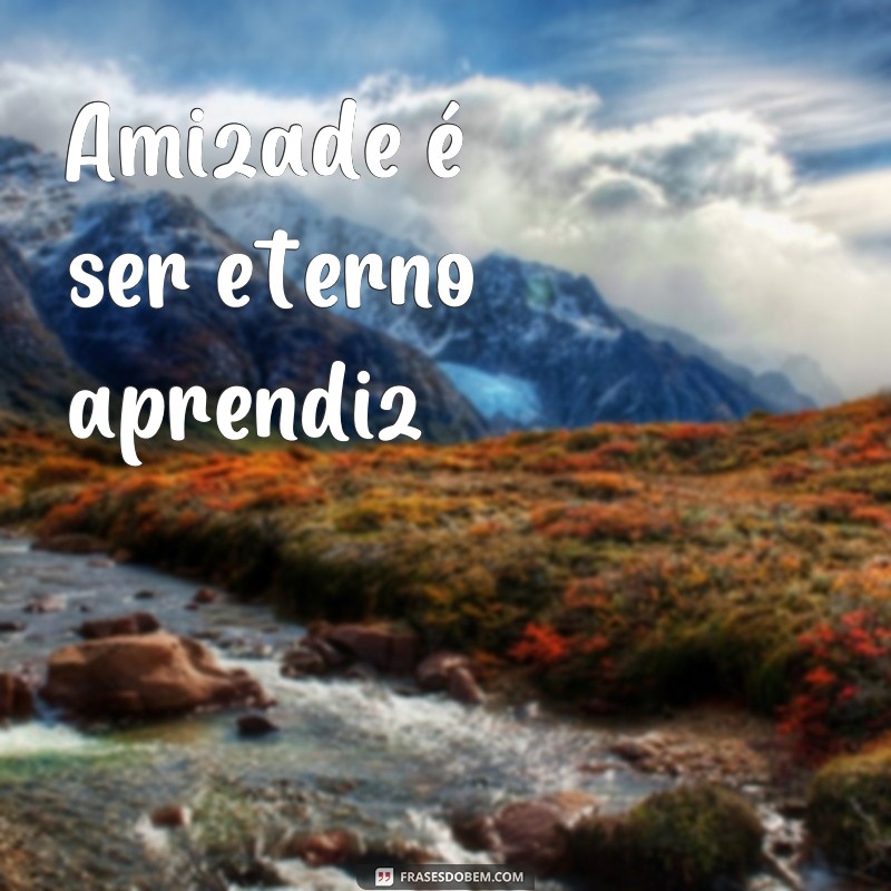 Descubra as mais belas frases poéticas sobre amizade para se inspirar! 