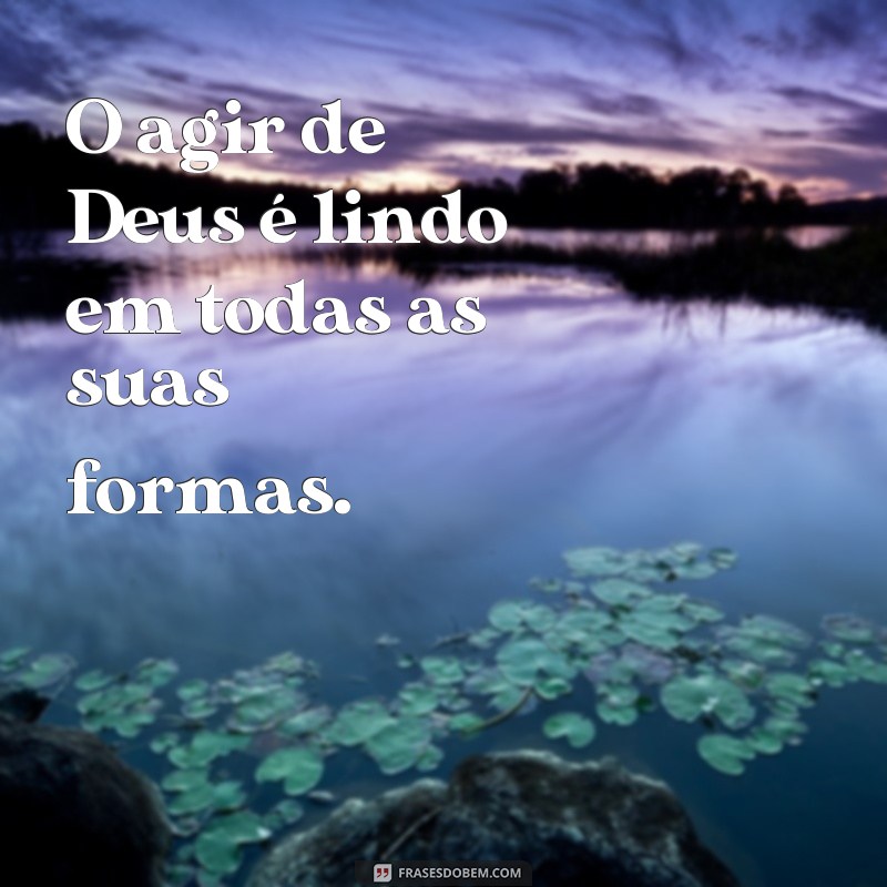 o agir de Deus é lindo frases O agir de Deus é lindo em todas as suas formas.