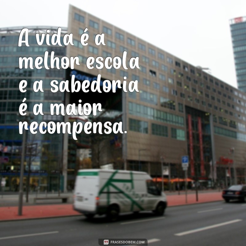 Descubra as melhores frases de sabedoria para inspirar sua vida 