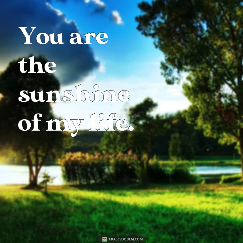 frases palavras bonitas em ingles You are the sunshine of my life.