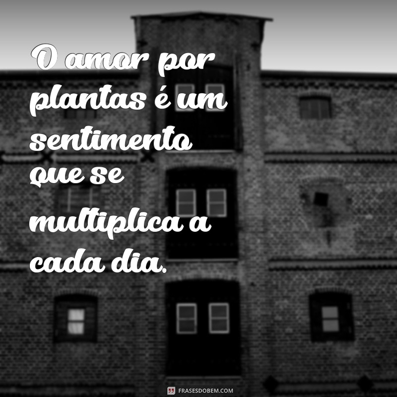 Descubra as melhores frases para expressar a beleza das plantas 