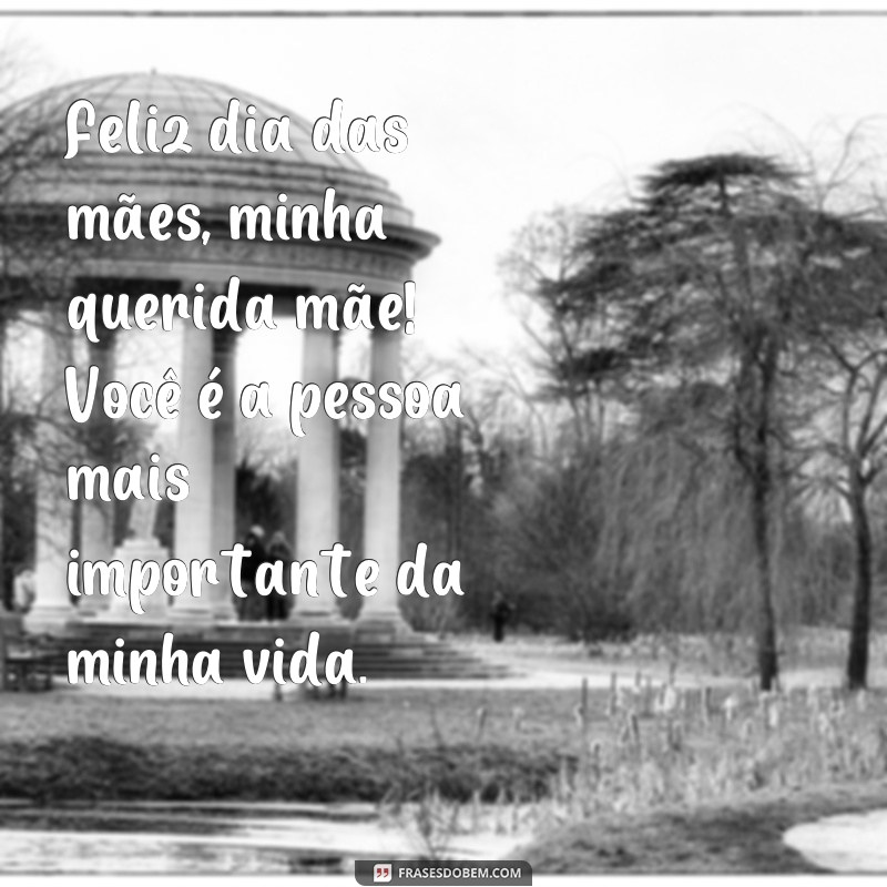 frases feliz dia das maes mensagem Feliz dia das mães, minha querida mãe! Você é a pessoa mais importante da minha vida.