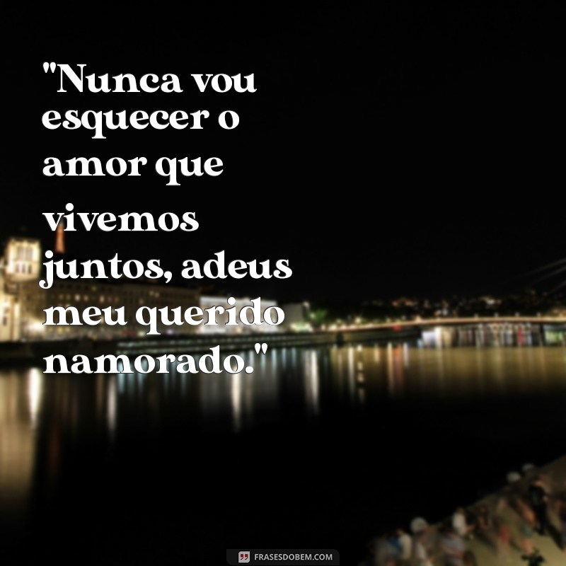 frases texto de despedida para namorado 