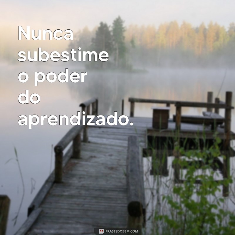 Descubra as melhores frases motivacionais para a educação infantil e inspire seus pequenos a aprender e crescer! 