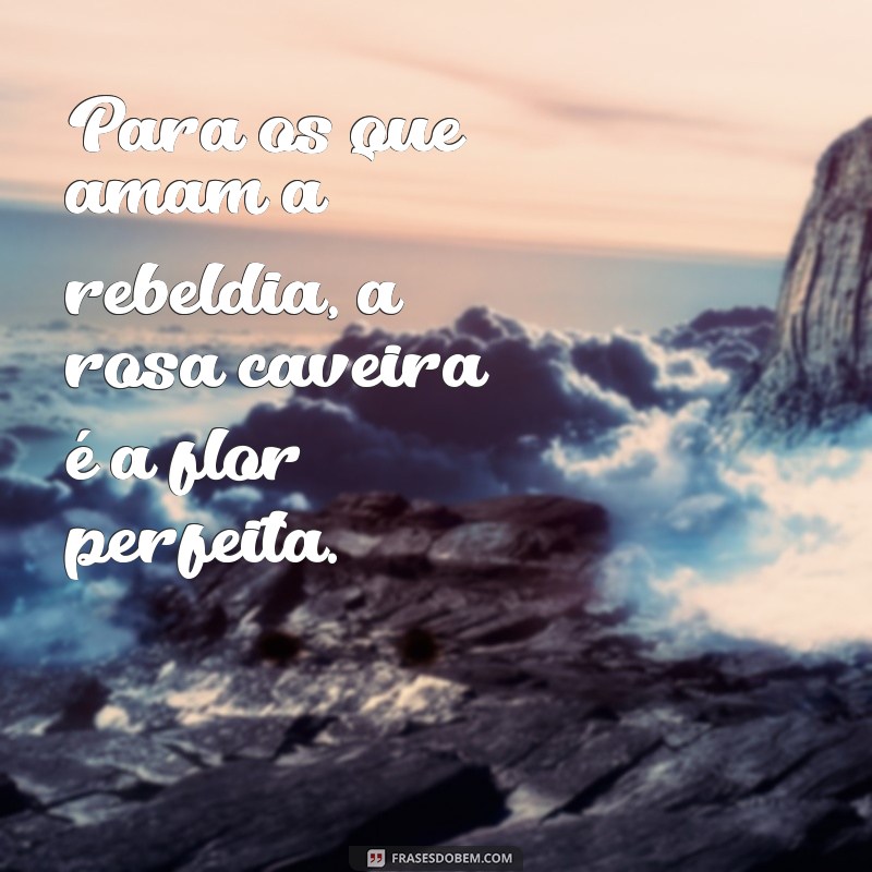 Descubra as melhores frases de Rosa Caveira para inspirar sua vida! 