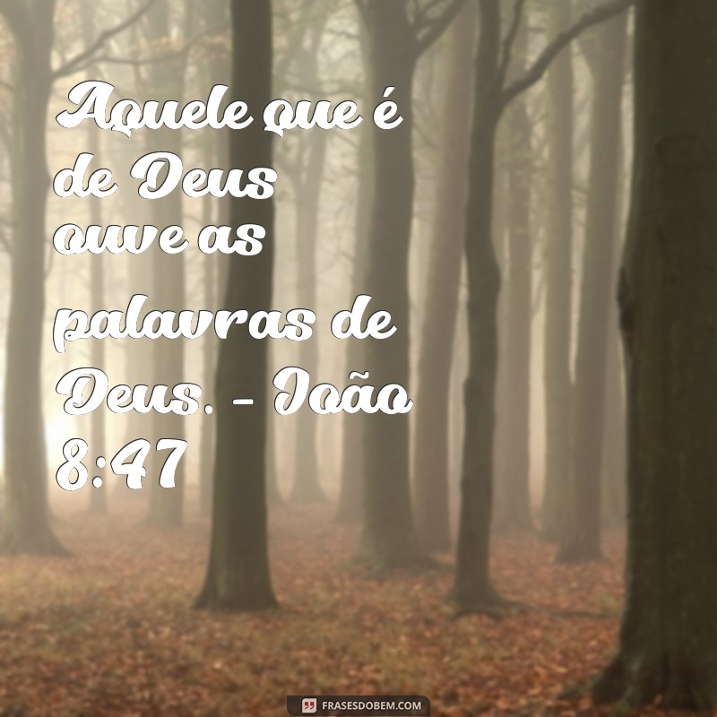 Conheça 20 inspiradoras frases e versículos sobre a palavra de Deus para fortalecer sua fé 