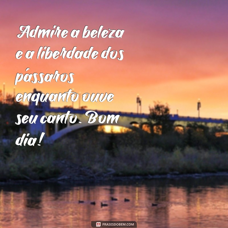 Encante seu dia com as mais belas frases de bom dia com pássaros 