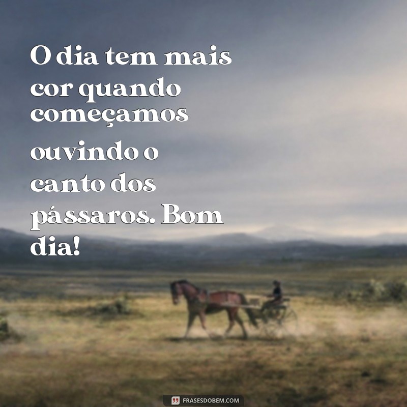 Encante seu dia com as mais belas frases de bom dia com pássaros 