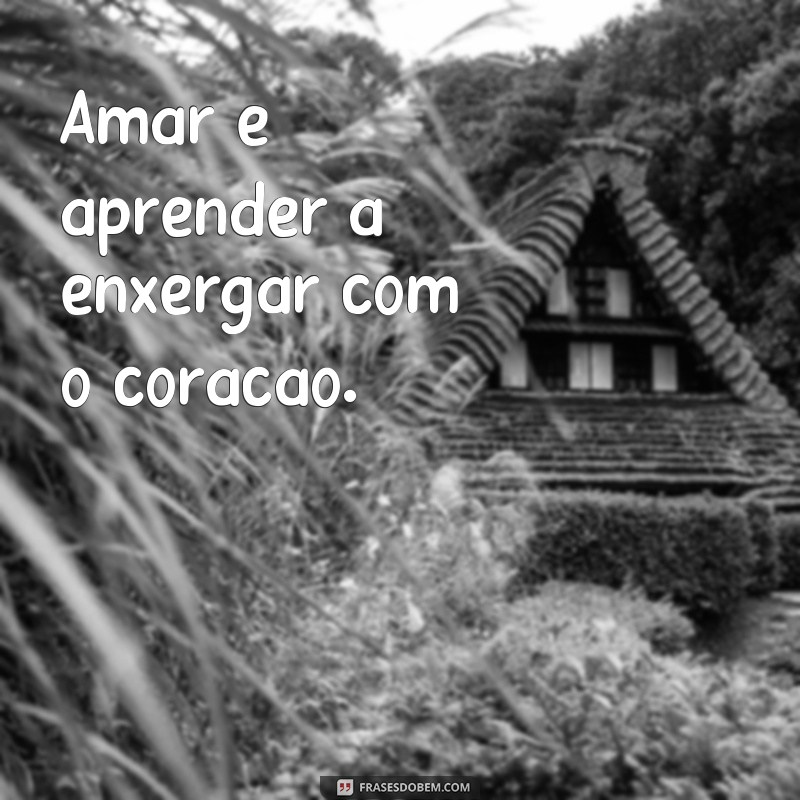 Descubra as mais belas frases de amor que vão encantar o mundo 