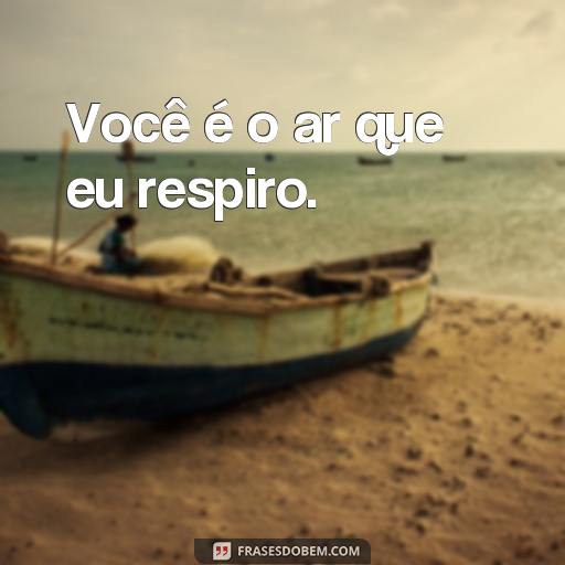  Você é o ar que eu respiro.