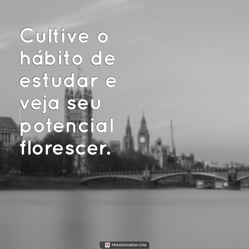 Frases Inspiradoras para Motivar Seus Estudos e Aumentar sua Produtividade 