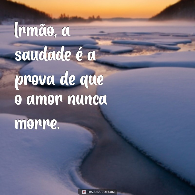 Frases Emocionantes para Homenagear um Irmão que Partiu 