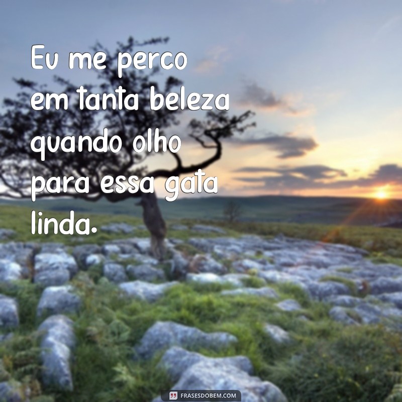 Encante com as melhores frases para conquistar uma gata linda 