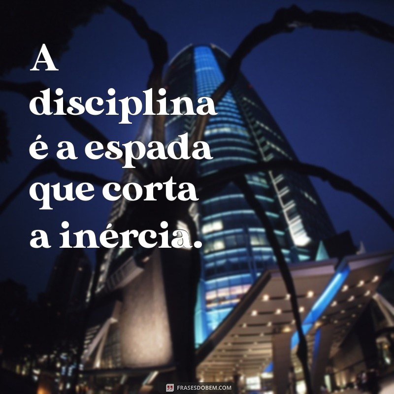 Frases Inspiradoras de Guerreiros: Motivação e Coragem para Enfrentar Desafios 