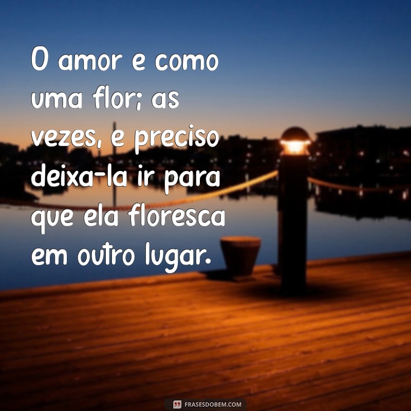 frases de separacao O amor é como uma flor; às vezes, é preciso deixá-la ir para que ela floresça em outro lugar.