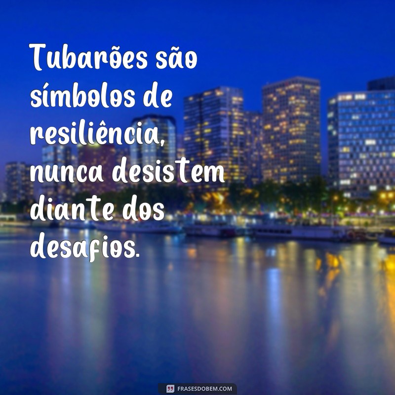 Descubra as melhores frases de motivação do tubarão para alcançar o sucesso 