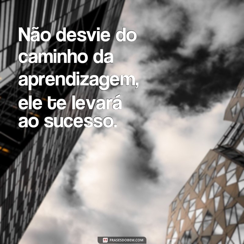 Descubra as melhores frases de incentivo do Smilingüido para motivar seus alunos! 