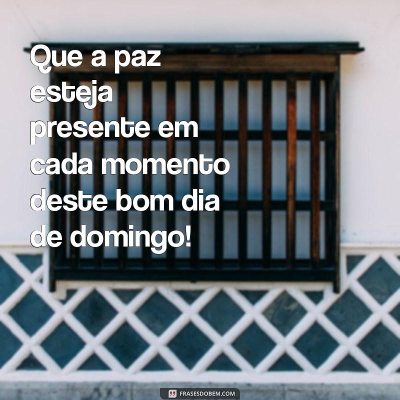 frases paz bom dia domingo Que a paz esteja presente em cada momento deste bom dia de domingo!