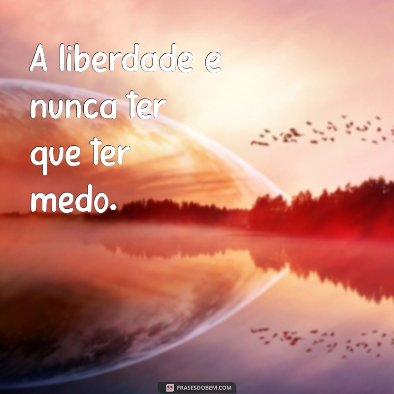 Inspire-se: As Melhores Frases de Martin Luther King para Transformar sua Vida 