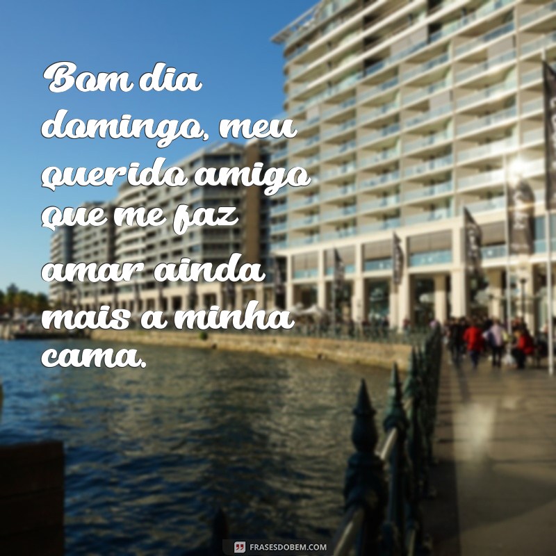 Divirta-se com as melhores frases engraçadas para desejar um bom dia de domingo! 