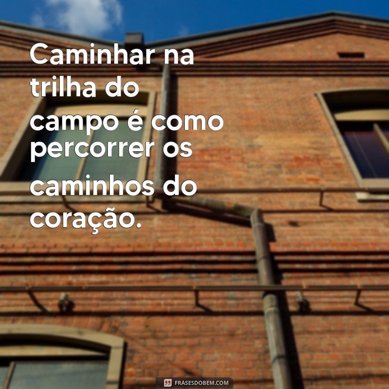 Frases Inspiradoras para Celebrar a Vida no Sítio: Conecte-se com a Natureza 