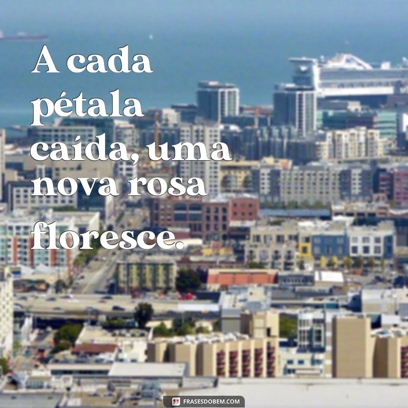 Descubra as mais belas frases para acompanhar suas fotos de rosas 