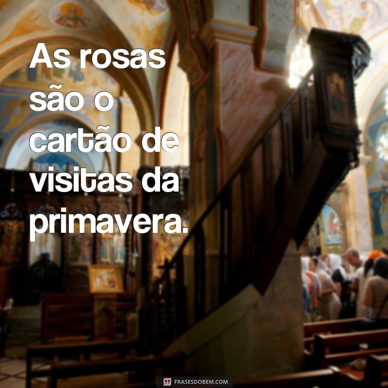 Descubra as mais belas frases para acompanhar suas fotos de rosas 