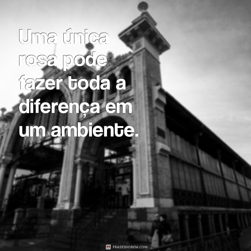 Descubra as mais belas frases para acompanhar suas fotos de rosas 