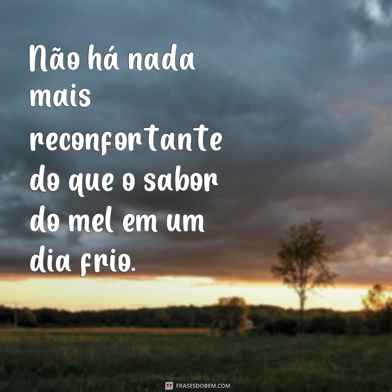 Descubra as melhores frases sobre o sabor do mel 