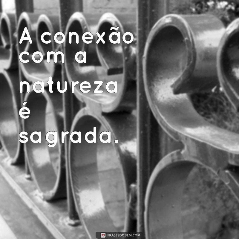 Frases Indígenas Curtas: Sabedoria e Cultura em Palavras 