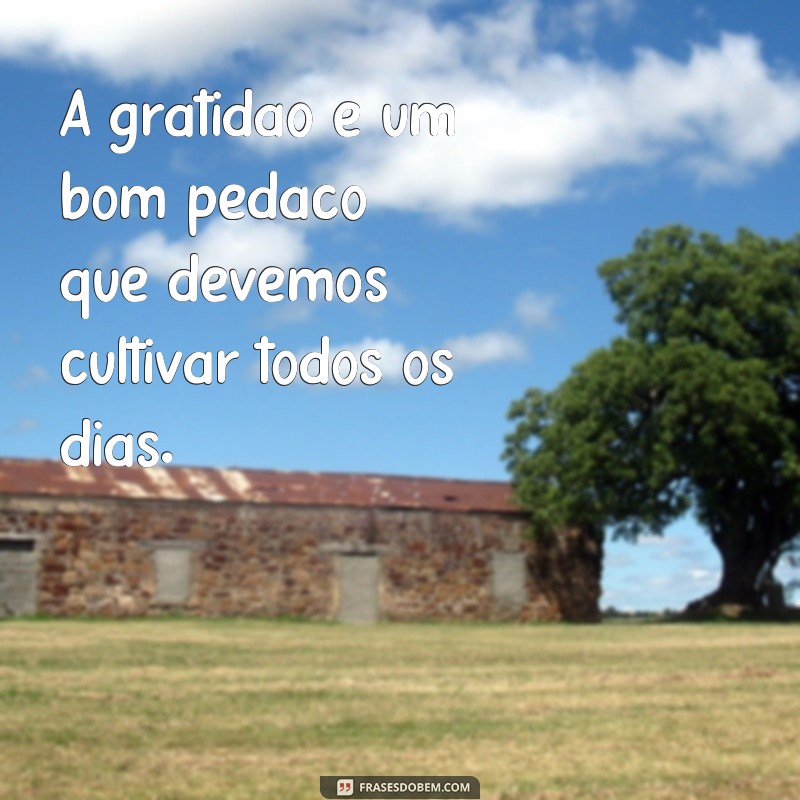 Descubra as melhores frases para inspirar e emocionar: Conheça o poder de um bom pedaço de palavras 