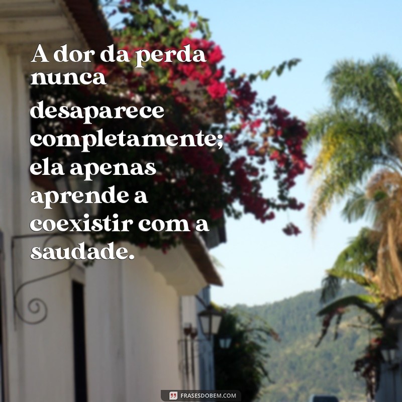 frases de perder alguém A dor da perda nunca desaparece completamente; ela apenas aprende a coexistir com a saudade.