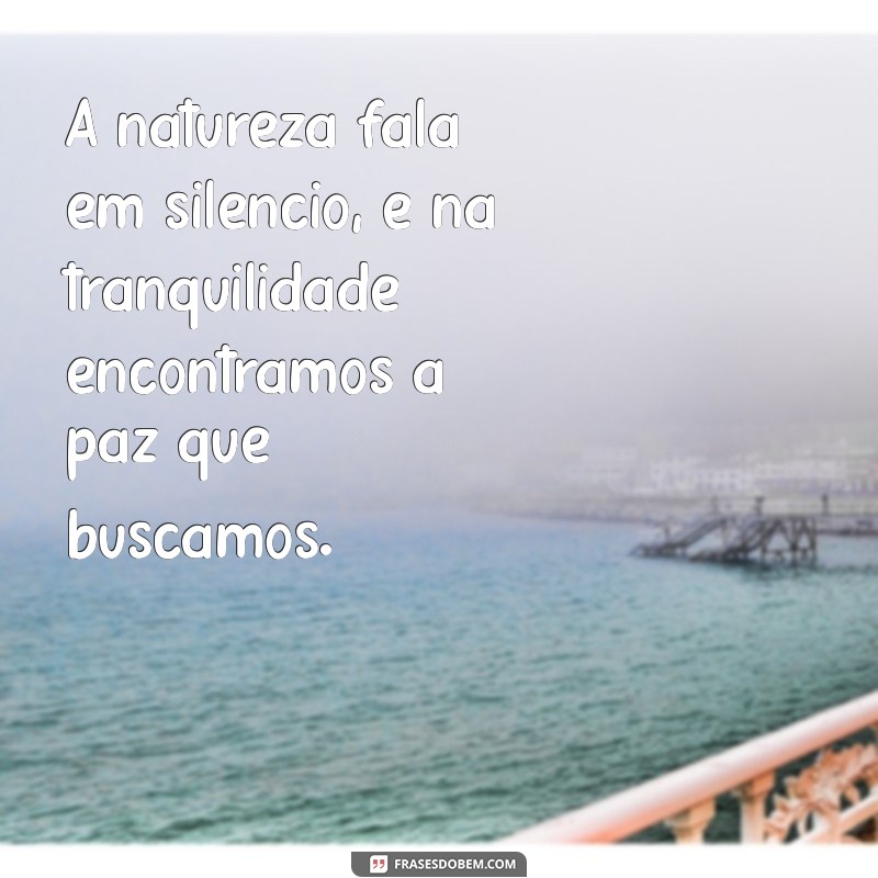 frases de natureza e paz A natureza fala em silêncio, e na tranquilidade encontramos a paz que buscamos.