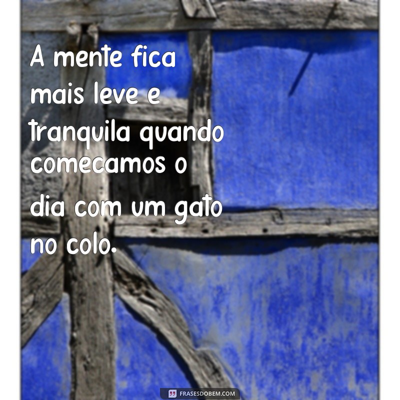 Encante seu dia com as melhores frases de bom dia com gatos! 