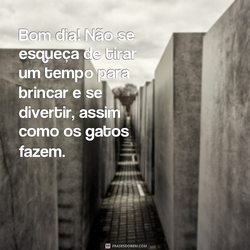 Encante seu dia com as melhores frases de bom dia com gatos! 