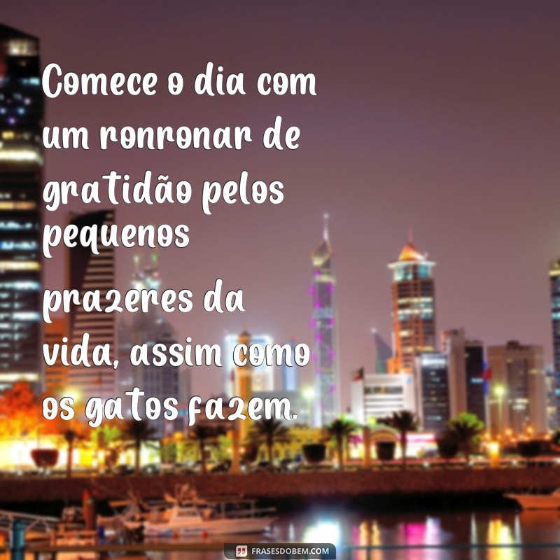 Encante seu dia com as melhores frases de bom dia com gatos! 