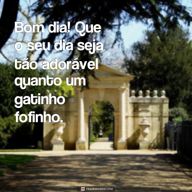 frases bom dia com gatos Bom dia! Que o seu dia seja tão adorável quanto um gatinho fofinho.