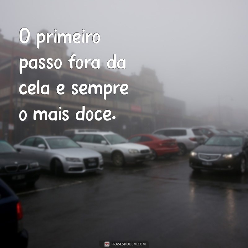 Frases Inspiradoras Sobre Liberdade Após a Prisão 