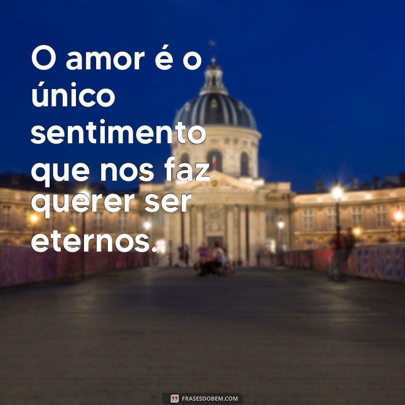 Descubra as mais belas frases sobre amor para expressar seus sentimentos 