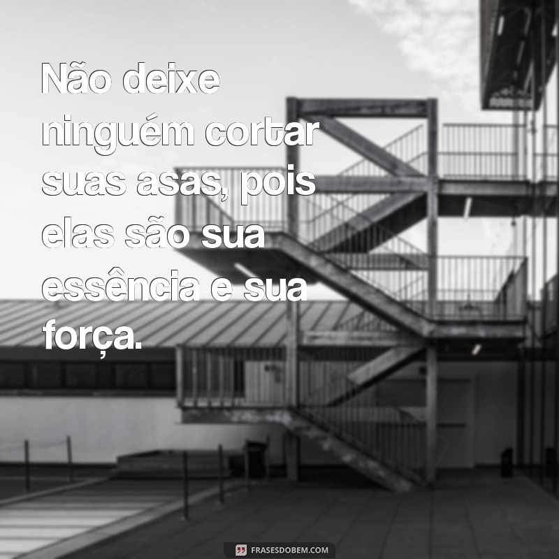 Descubra as melhores frases de asas para voar e se inspirar! 