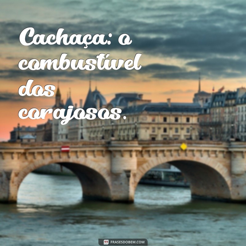 Divirta-se com as melhores frases de cachaça engraçadas! 