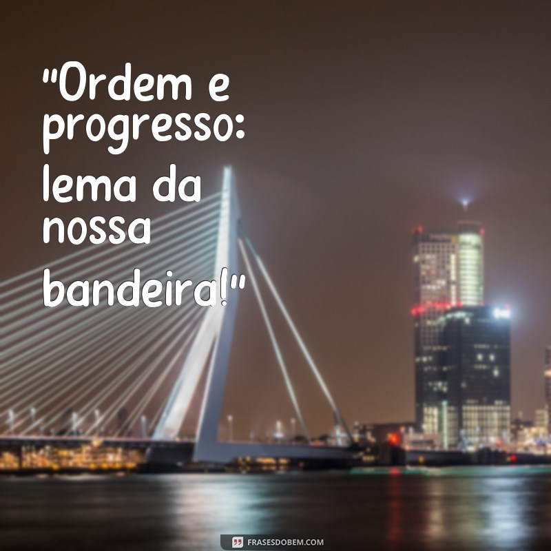 frases bandeira do brasil com frases 